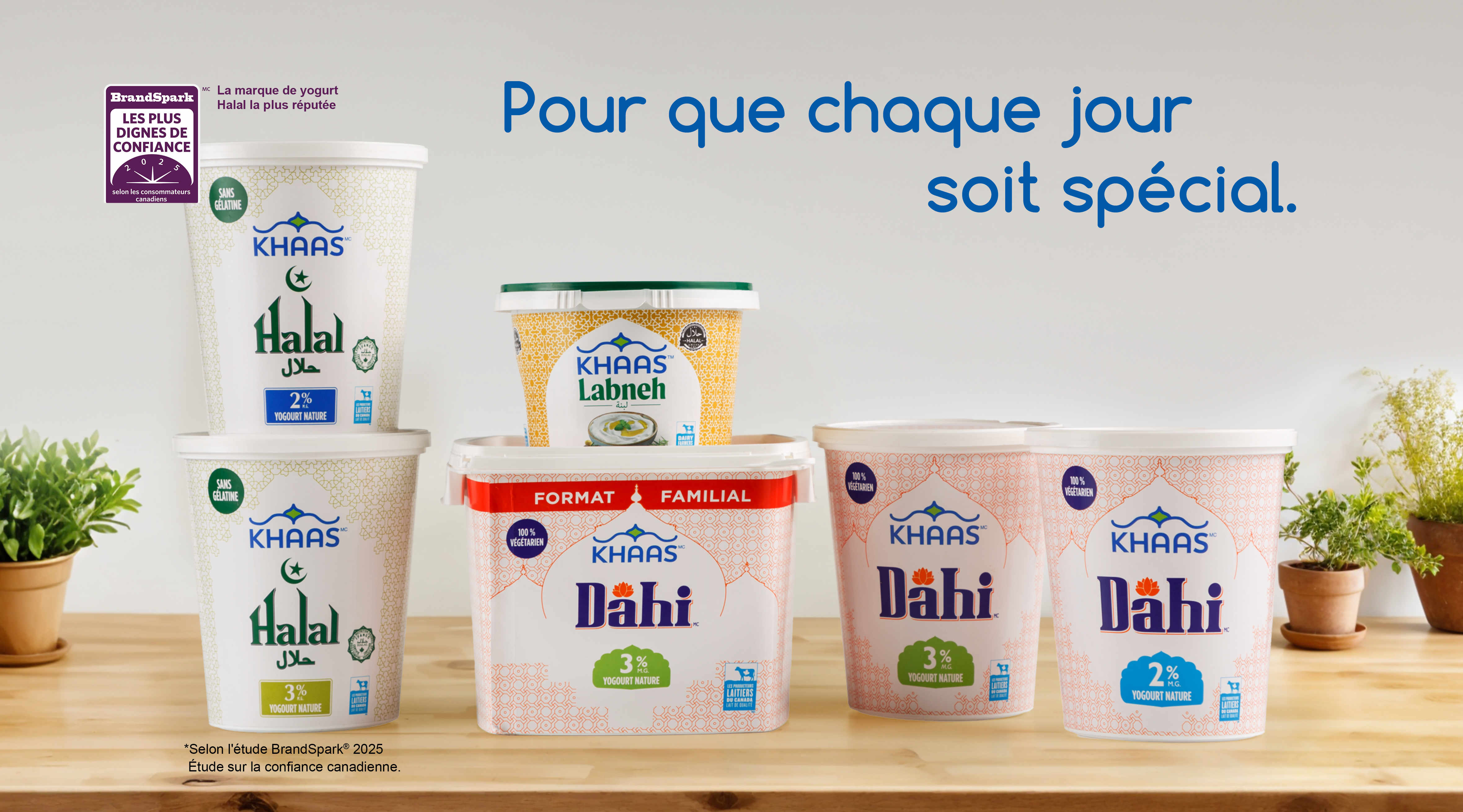 Une banderole de produits Khaas présentant Khaas Halal 3 %, Khaas Halal 2 %, Khaas Dahi 3 %, Khaas Halal 2% et Khaas Labneh.
Les produits sont disposés sur un comptoir en bois sur un fond de couleur blanc mat, accompagné de quelques plantes en pot. Le titre de la banderole est : « Savourer chaque instant ».