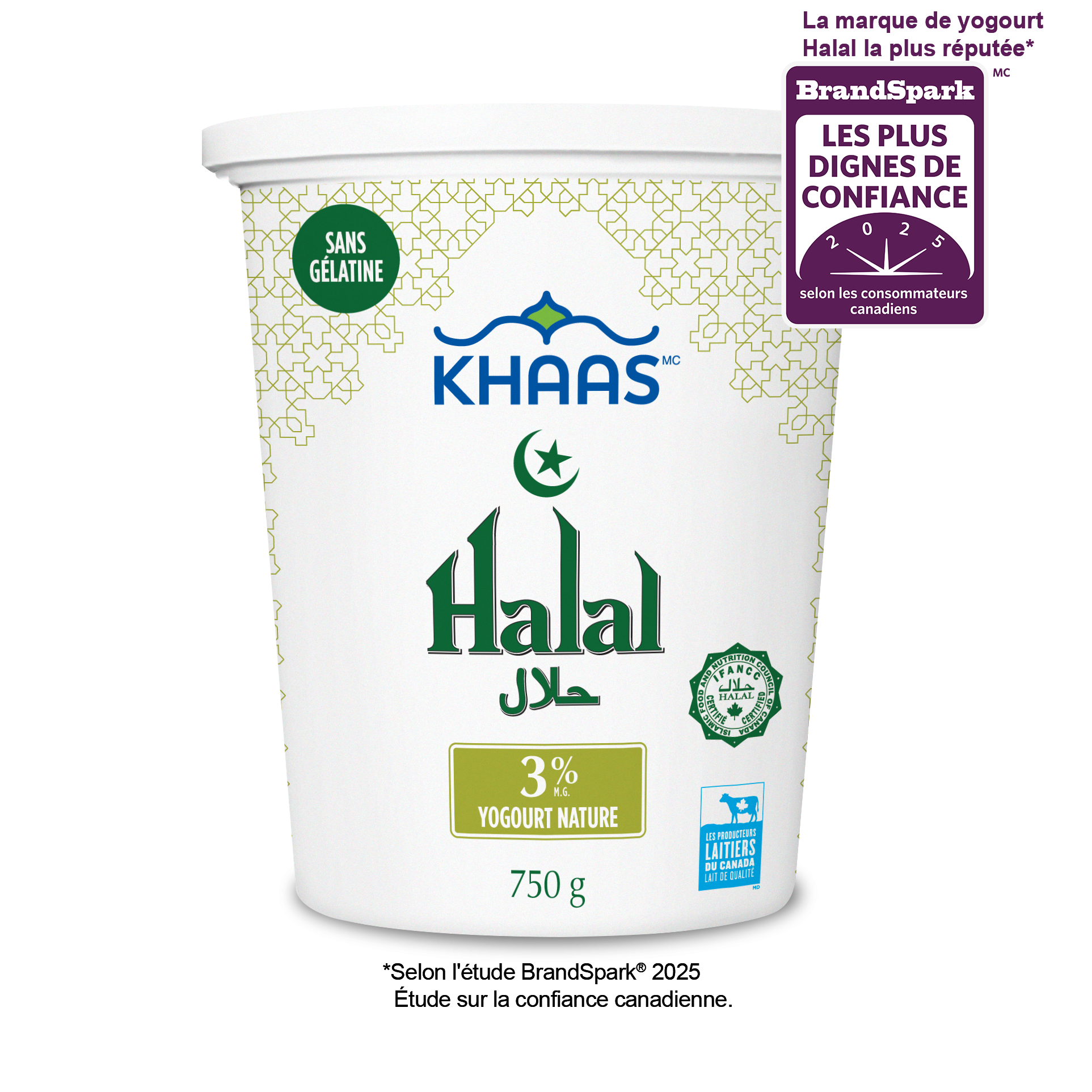 Khaas-Halal-3percent-Brandpsark_R2_FR Cette banderole présente la photo de l'emballage du produit « Khaas Dahi 3 % ».